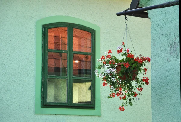 Kwiaty w oknie — Zdjęcie stockowe