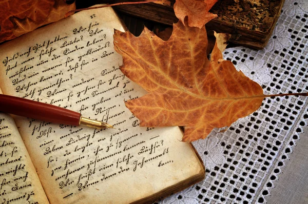 Podzimní deník — Stock fotografie