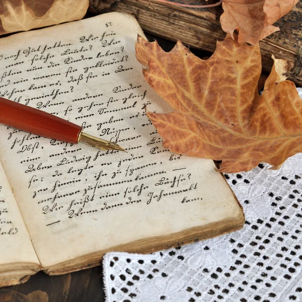 Осенний дневник — стоковое фото