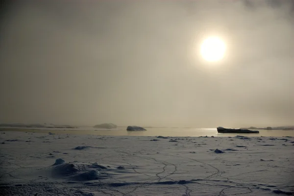 Słońce i gór lodowych — Zdjęcie stockowe