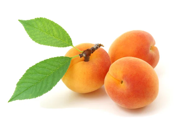 Apricot. — Stock Photo, Image