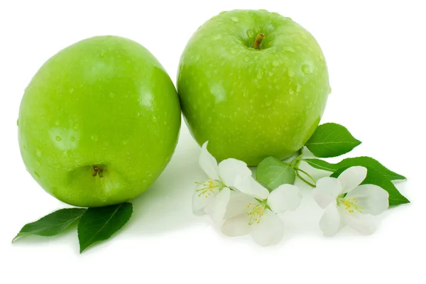 Zöld alma és a fehér virág. — Stock Fotó