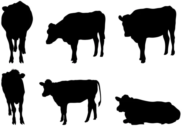 Six Cow Silhouettes — Stock Vector