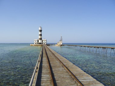 tropikal mercan resif deniz feneri