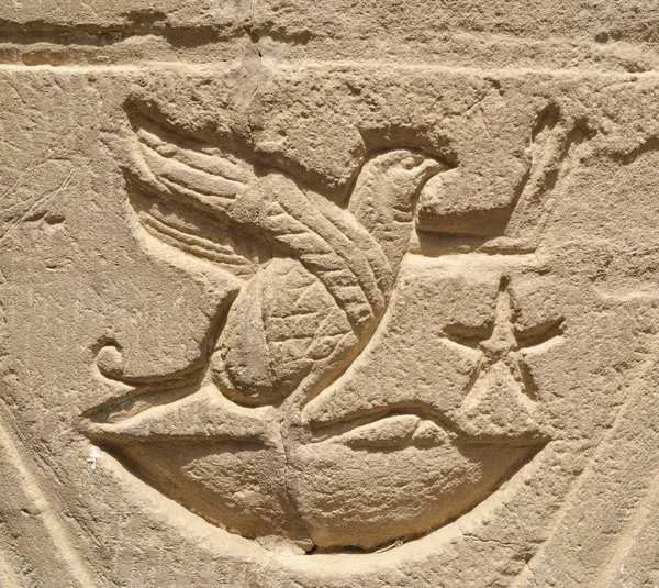 Hieroglyphen-Schnitzerei in einer ägyptischen Tempelwand — Stockfoto