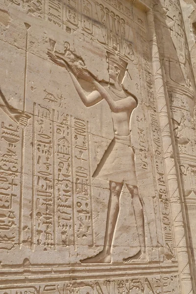 Hiëroglifische houtsnijwerk in een Egyptische tempel muur — Stockfoto