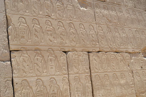 Hieroglyphen-Schnitzereien in einer ägyptischen Tempelwand — Stockfoto