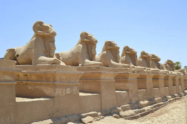 Laan van sfinxen karnak tempel — Stockfoto