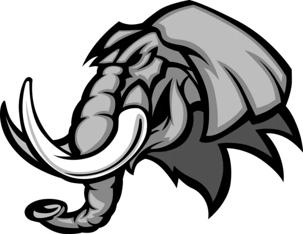 Gráfico cabeza de elefante mascota — Vector de stock
