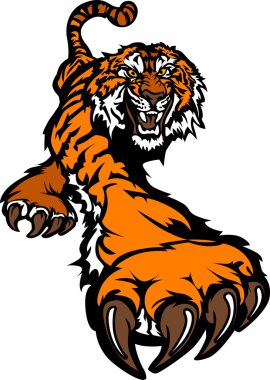 Tiger Body Prowling Graphic clipart