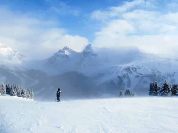 Лыжник в снежную бурю — стоковое фото