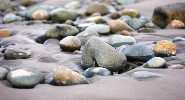 Stenar på en strand — Stockfoto