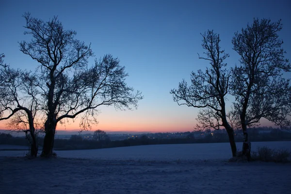 Dusk over a snowy field — Stock Photo, Image
