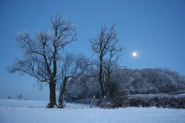 Dusk over a snowy field — Stock Photo, Image