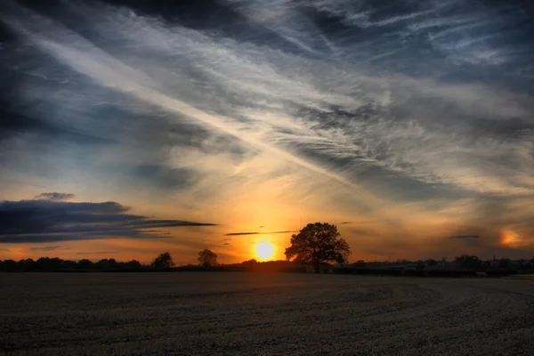 Закат над полем — стоковое фото