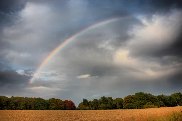 Rainbow over a field — Stock Photo, Image