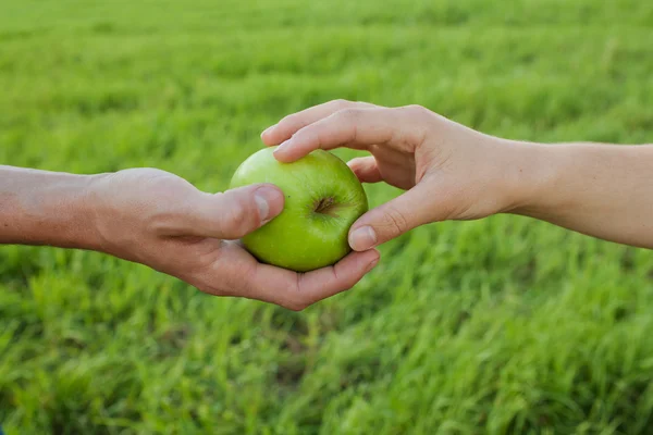Hands and apple — Stock Photo, Image