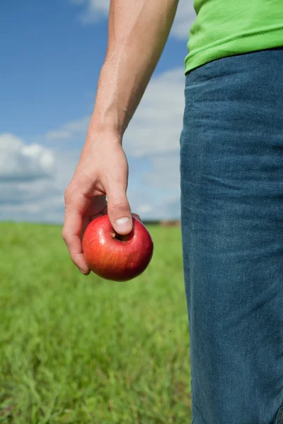 Apples in the hand — Stock Photo, Image