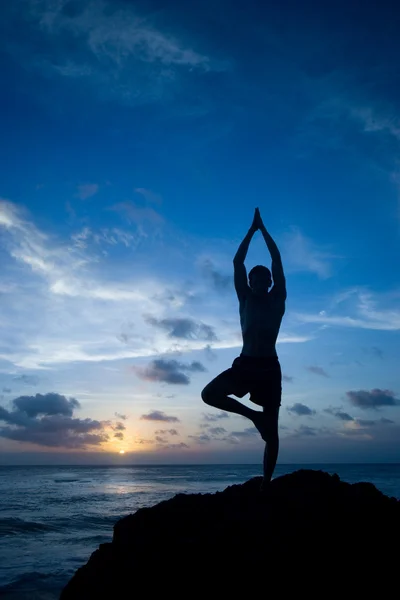 El yoga atrapa el equilibrio Fotos De Stock Sin Royalties Gratis