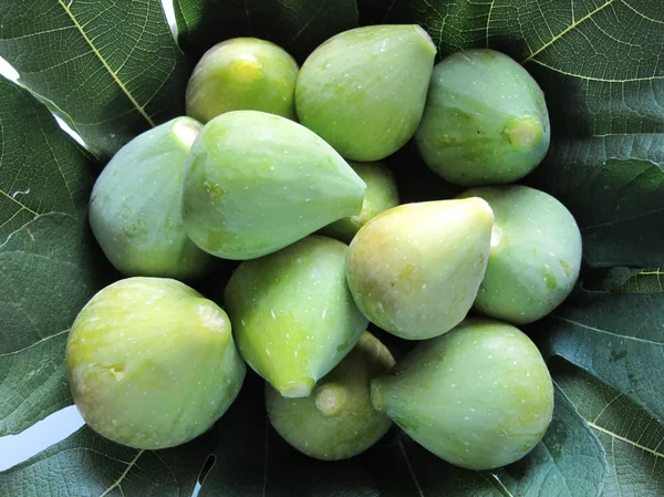 stock image Green figs