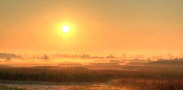 Ранний утренний туман — стоковое фото