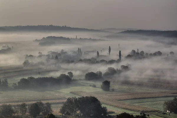 Ранковий туман в долині сонний порожнистий — стокове фото
