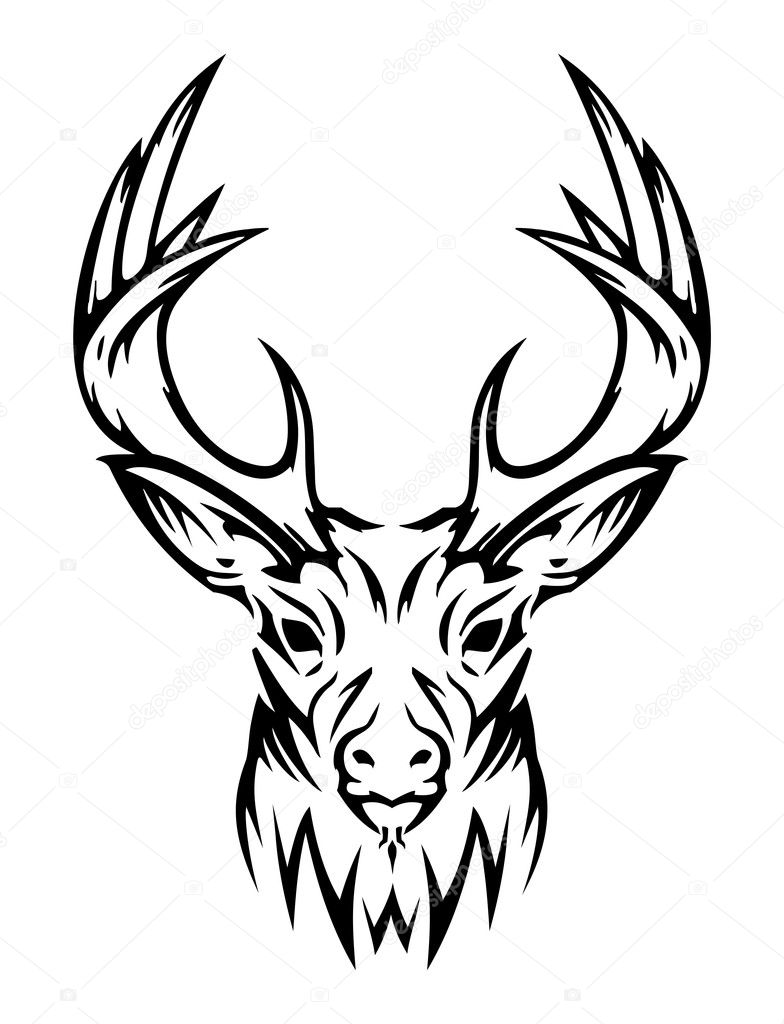 Deer cute (vector)