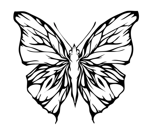 Güzel havadar kelebek (vektör) — Stok Vektör