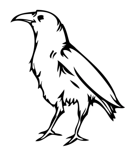 Vrána, havran, vektorové ilustrace — Stockový vektor