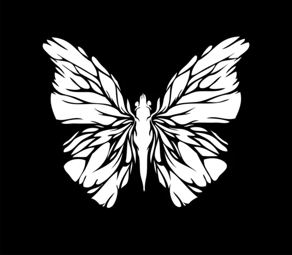 White butterfly on black bacground (vector) — Stock Vector