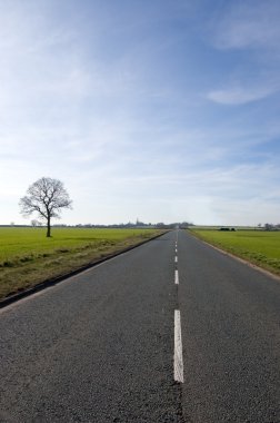 Tree and long road clipart