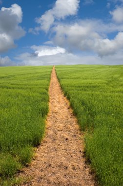 Footpath to the Horizon clipart