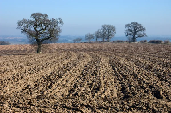 Rural English winter landscape — Stock Photo, Image