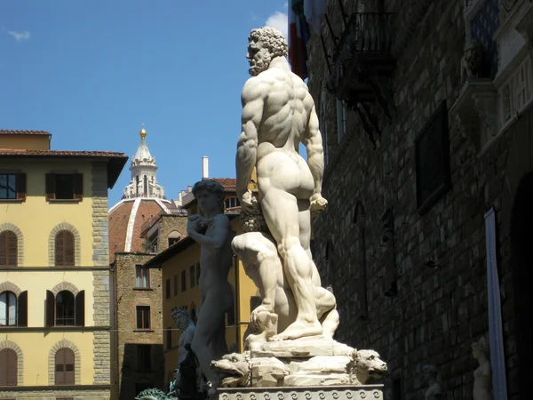 Statue in piazza della Signoria — Stock Photo, Image
