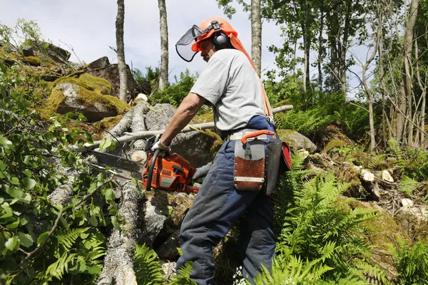 Lumberjack in action — Stock Photo, Image