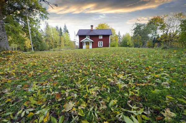 Casa de campo vermelha e folhas de outono — Fotografia de Stock