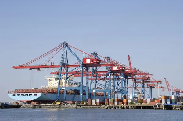 Порт, контейнерные суда и краны — стоковое фото