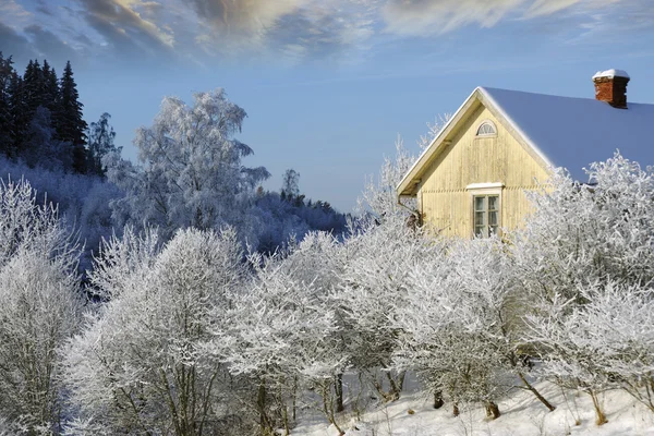 Gele huisje in de winter — Stockfoto