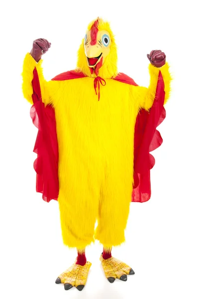 Moc kurczaka — Zdjęcie stockowe