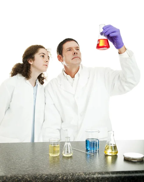 Químicos Examinam Resultados — Fotografia de Stock