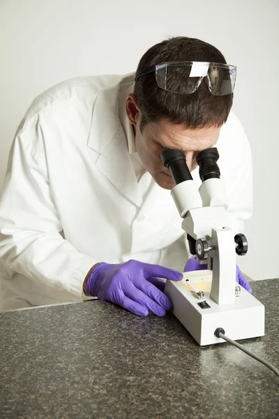 Un expert médico-légal examine un échantillon — Photo