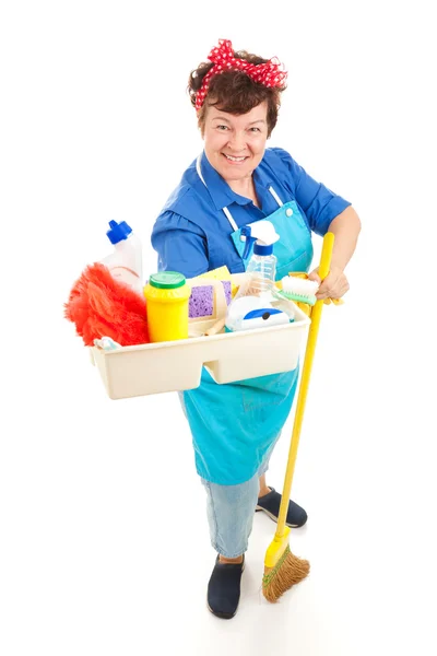 Dienstmädchen mit Reinigungsprodukten — Stockfoto