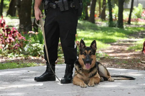 Policía perro 2 — Foto de Stock