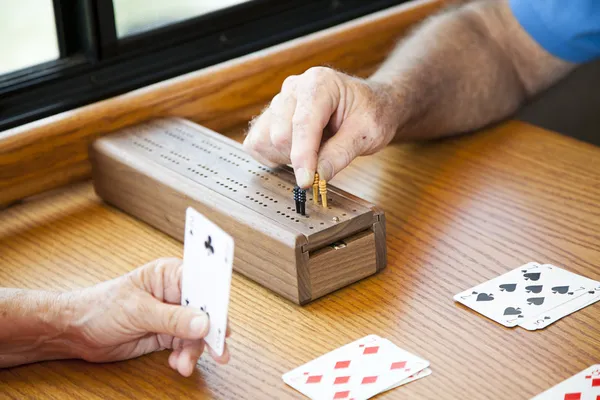 stock image Playing Cribbage