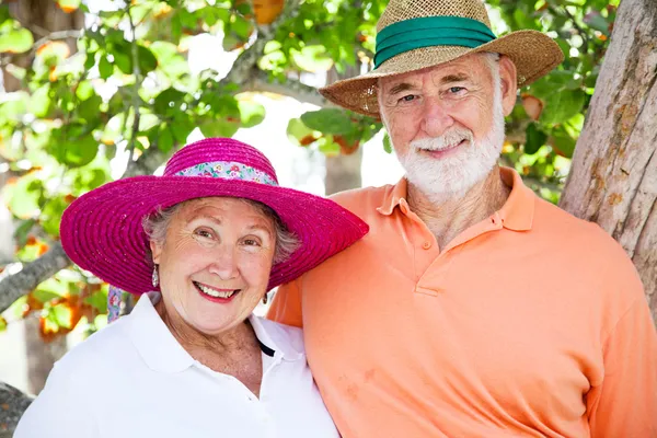 Süßes Seniorenpaar — Stockfoto