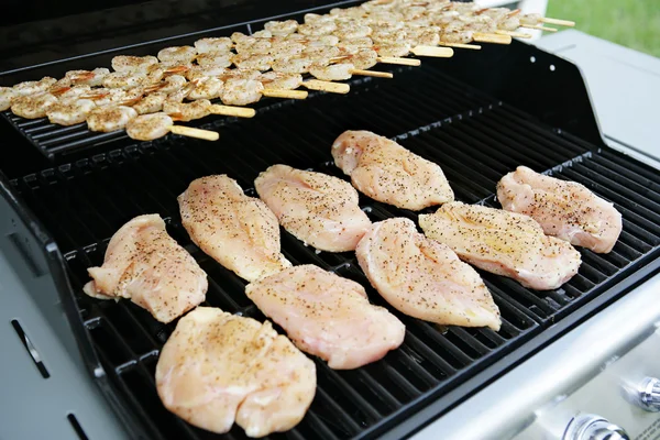 Cortile barbecue orizzontale — Foto Stock