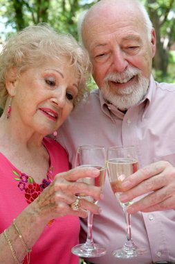 Senior Couple Happy Together clipart