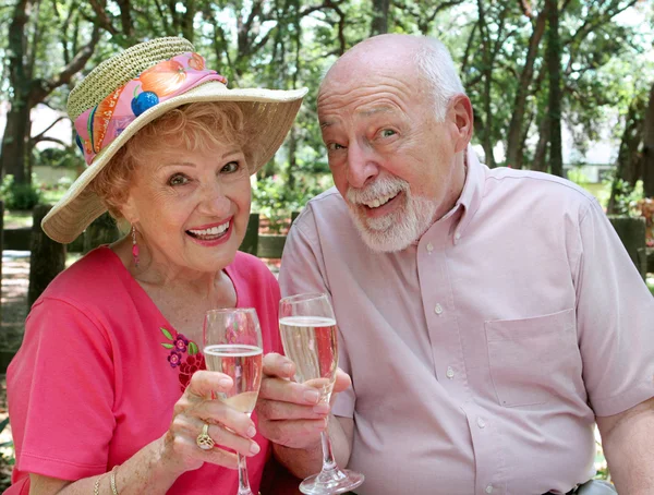 Glückliche Senioren stoßen an — Stockfoto