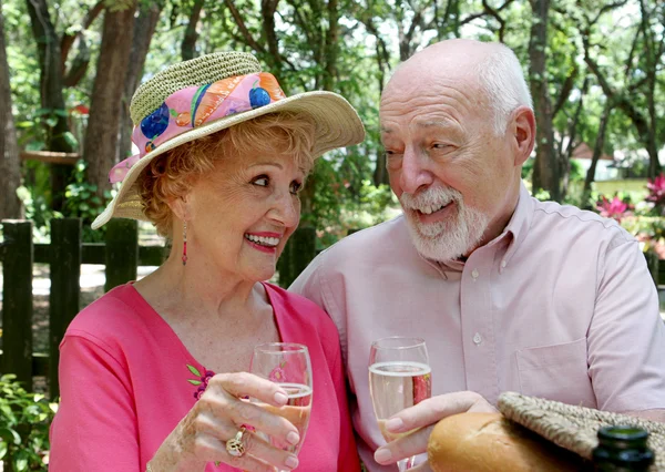 Пікнік людей похилого віку - шампанське тост — стокове фото