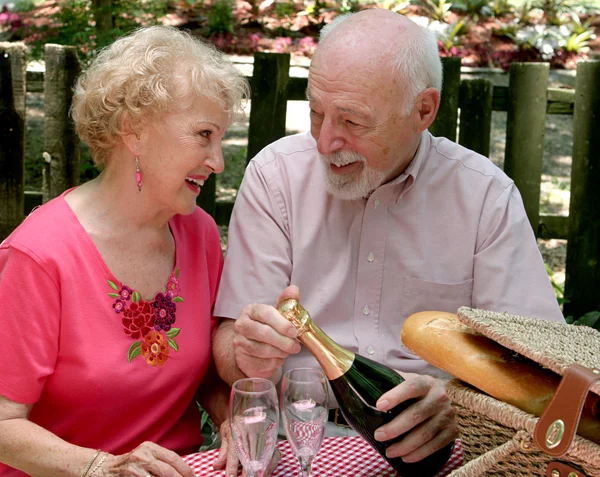 Piknik yaşlılar - sevgi dolu bakışları — Stok fotoğraf